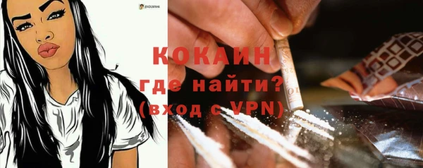 дмт Щучье