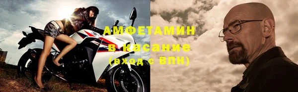 трава Гусиноозёрск