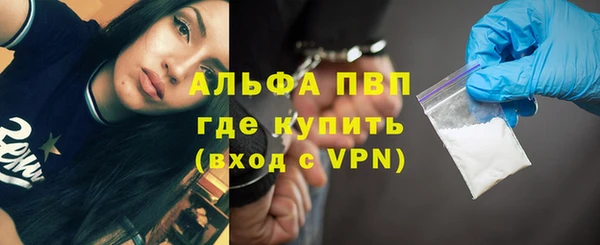 трава Гусиноозёрск