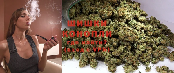 трава Гусиноозёрск