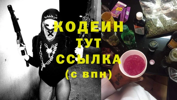 трава Гусиноозёрск