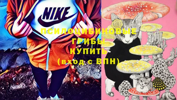СК Гусь-Хрустальный