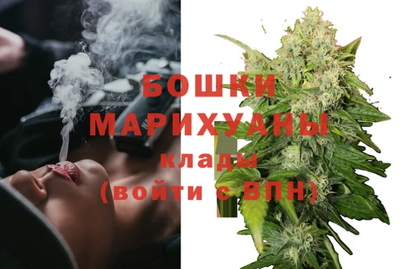 СК Гусь-Хрустальный