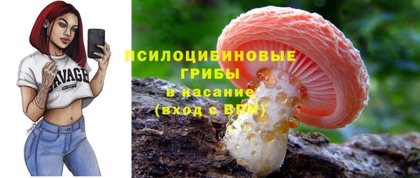 сатива Щигры
