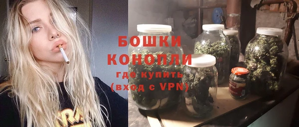 трава Гусиноозёрск
