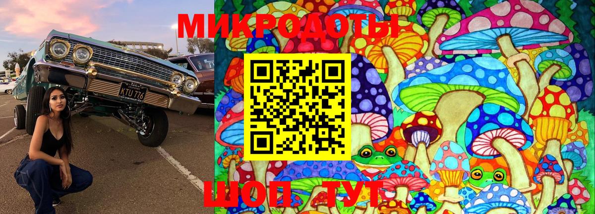 Галлюциногенные грибы Psilocybe Бугуруслан